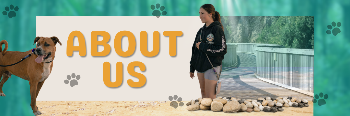 Gab from Gabs Mobile Pet Care with dog on beach walkway – About Us banner image for dog walking and leash brand