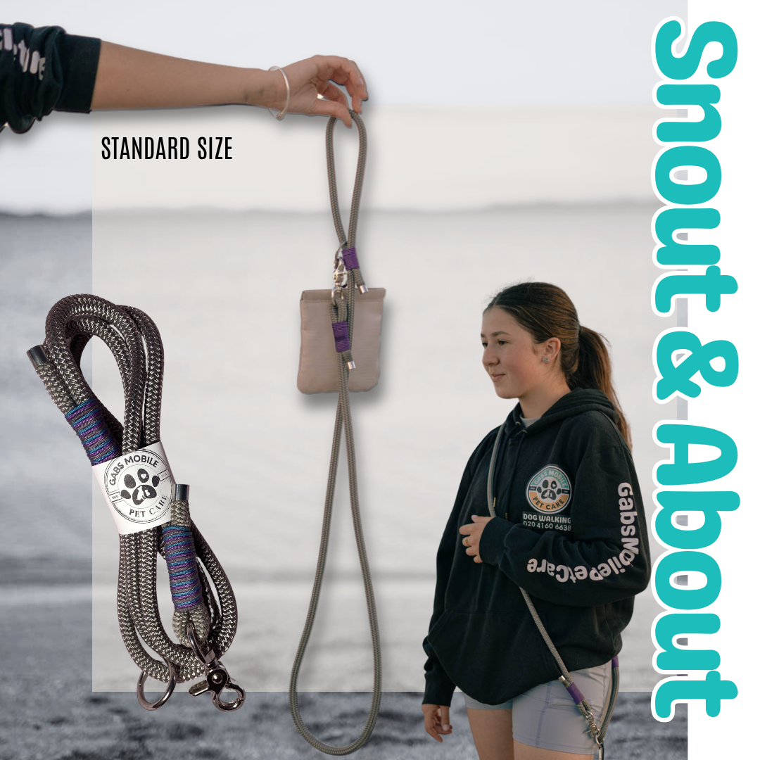 Snout & About Leash - Grey - Standard