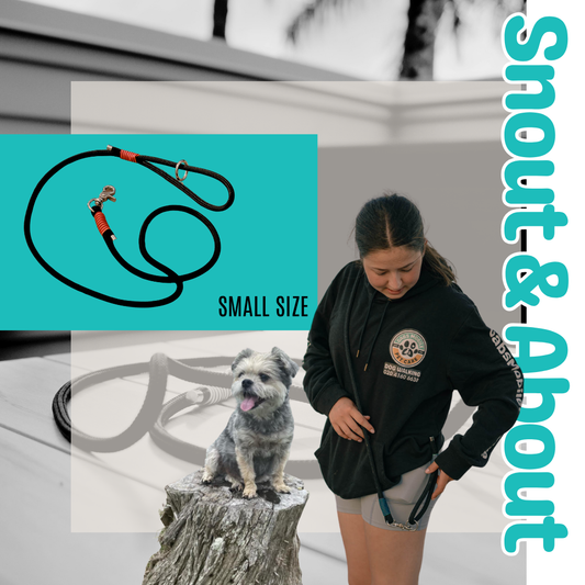 Snout & About Leash - Black - SMALL