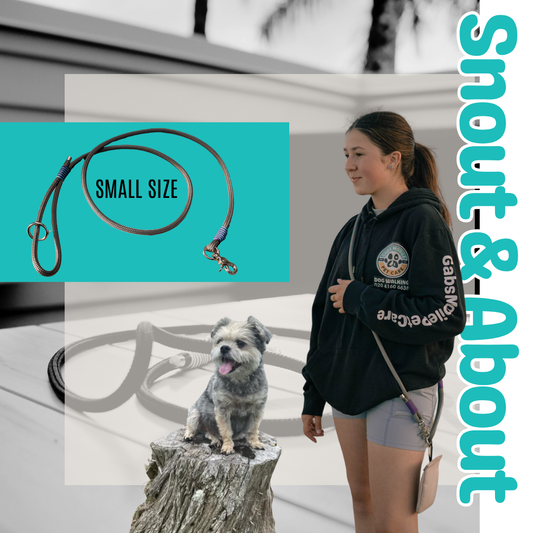Snout & About Leash - Grey - SMALL