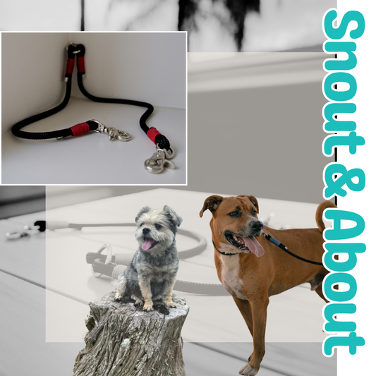 Snout & About Splitter: Black