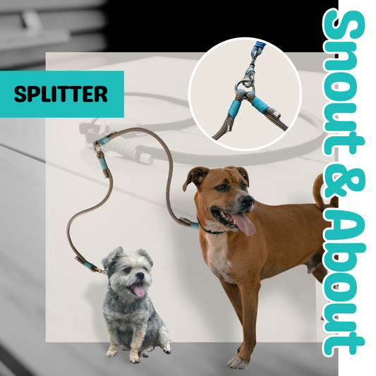 Snout & About Splitter: Grey