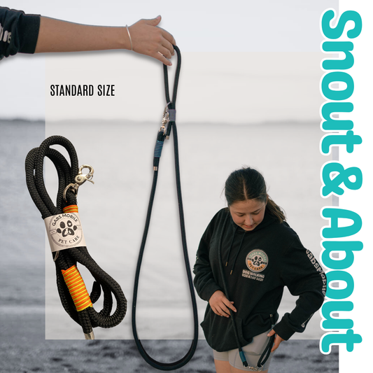 Snout & About Leash - Black - Standard